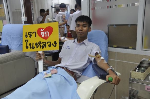 43b67f755312b2ba5170667efc1dd922