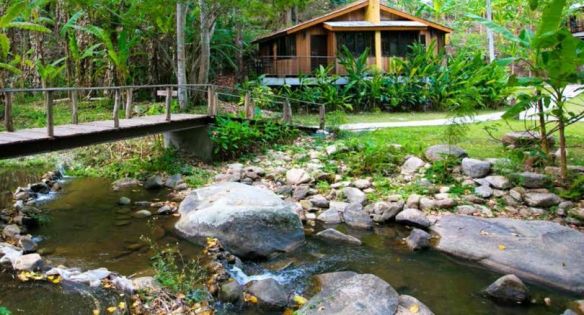 323a733a2797461cd81b76289b95a55f-sld