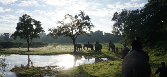 3c10c12cf76faa276982afb7a9bce2c4