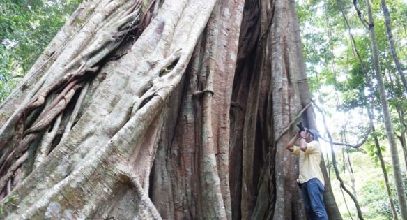 4fc8a1d38cce1ad4f68a8a44fec9c1f3-sld