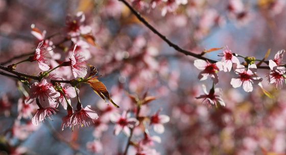 58fbe7ee579cf5a6d0ddef43ee73a532-sld