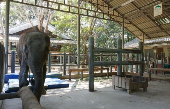 5ebc676c906224cdc34e5997f0336572