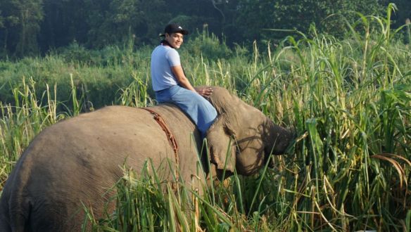 ece510223342da06b45fc62f388aaea4