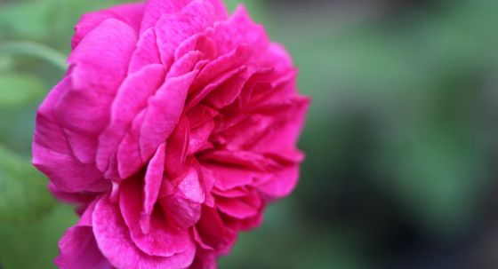 ee4b768a0cb0f6b34224dbb7bd2d7373-sld