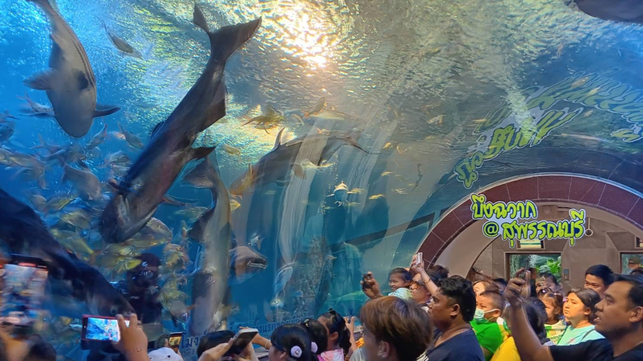 ประวัติ บึงฉวาก จากบึงน้ำธรรมชาติสู่แหล่งเรียนรู้พันธุ์สัตว์ป่าของเหล่านักท่องเที่ยว