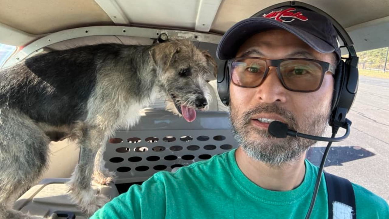 เครื่องบินเล็กตกที่สหรัฐฯระหว่างพาสุนัข 3 ตัวไปส่งสถานรับเลี้ยง นักบินดับ สุนัขตาย 1 ตัว 