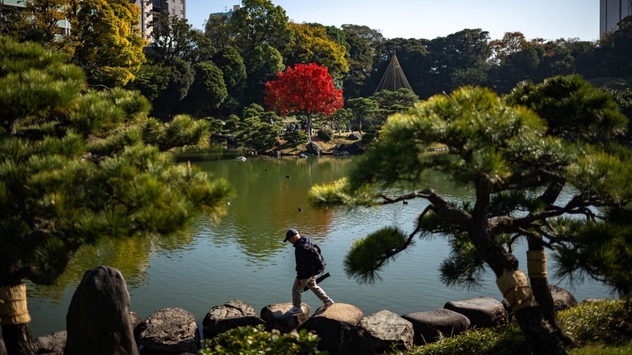 ญี่ปุ่นเผชิญฤดูใบไม้ร่วงที่อุ่นที่สุดเท่าที่เคยมีมา ทำใบไม้เปลี่ยนสีล่าช้า