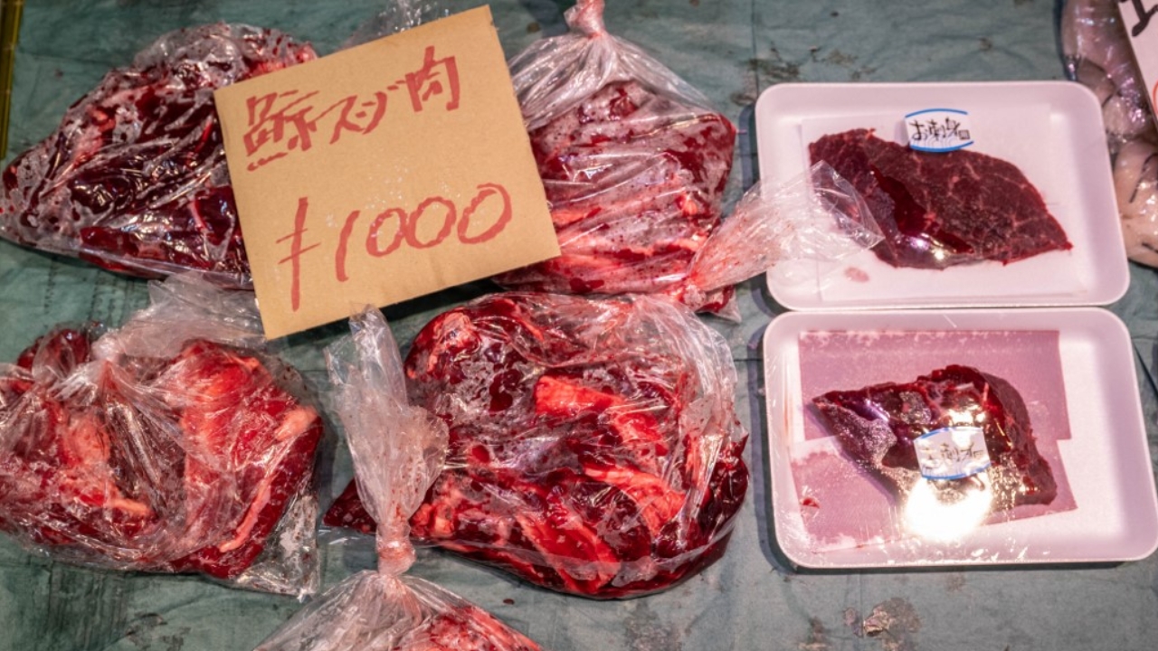 ญี่ปุ่นเปิดประมูลเนื้อวาฬฟิน "ที่ถูกจับได้ครั้งแรกในรอบเกือบ 50 ปี