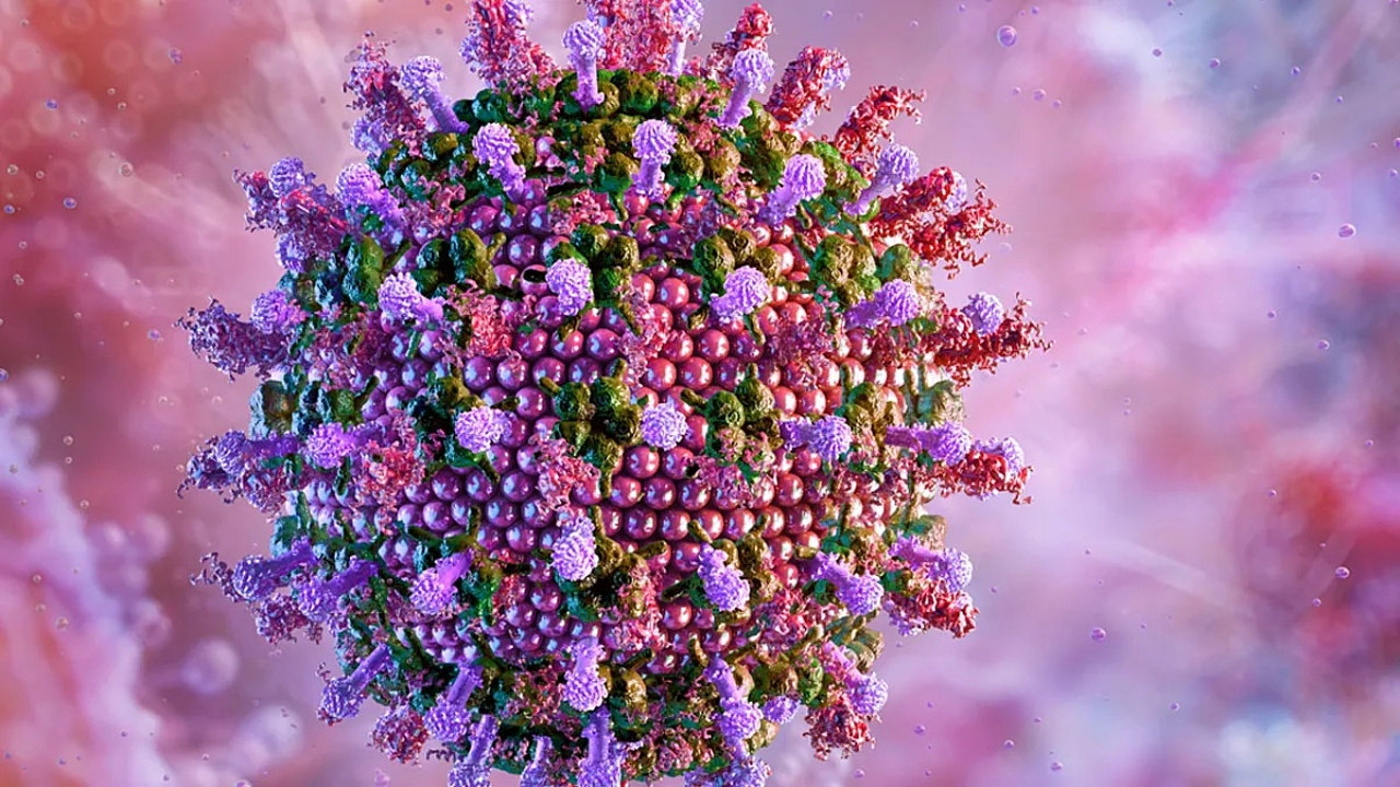 ออสเตรเลียเร่งสอบ 323 ตัวอย่างไวรัส หายจากแล็บในควีนส์แลนด์